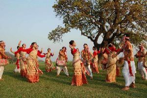 Tea Tour in Darjeeling