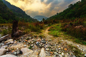 Reshikhola