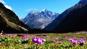 Yumthang